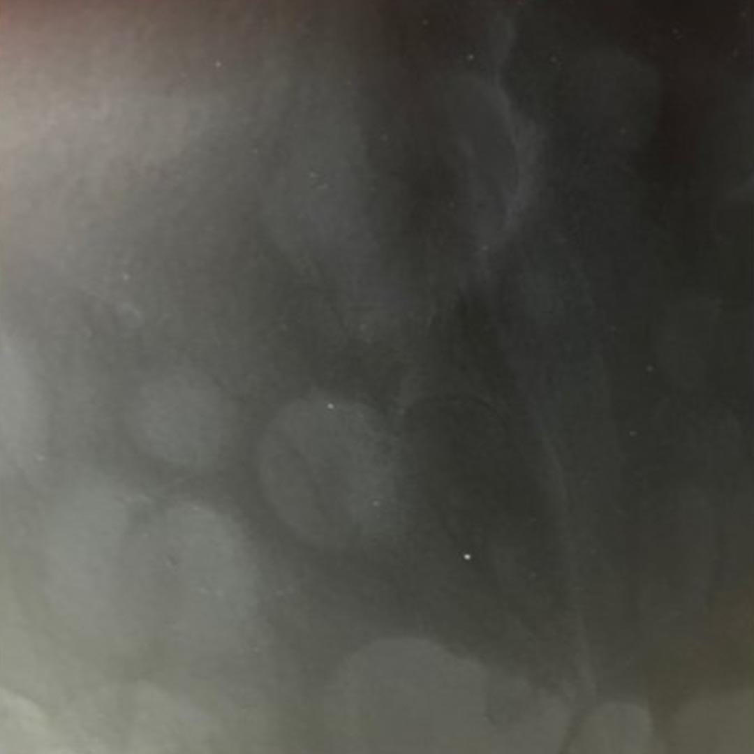 REKO METALLIC - Barvící pigment (10g)