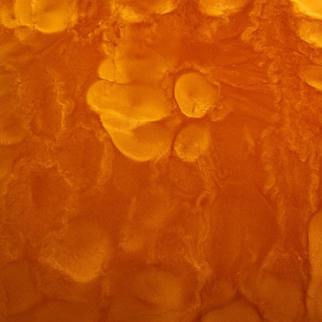 REKO METALLIC - Barvící pigment (10g)